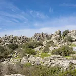 Cubo's Casa El Torcal بيت للعطل