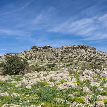 Cubo's Casa El Torcal بيت للعطل *